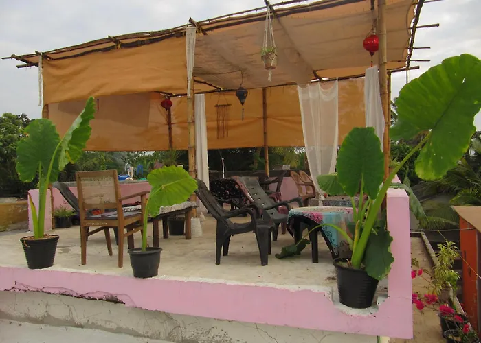 Beachaholic Home